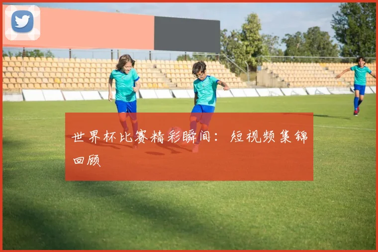 世界杯比赛精彩瞬间:短视频集锦回顾