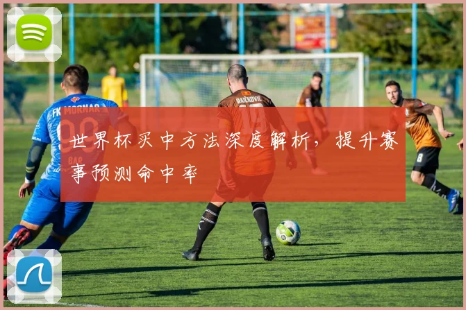 世界杯买中方法深度解析,提升赛事预测命中率