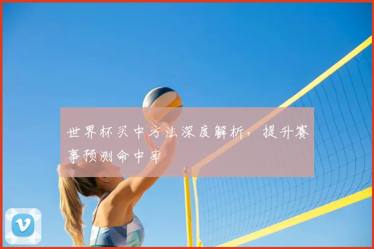 世界杯买中方法深度解析,提升赛事预测命中率