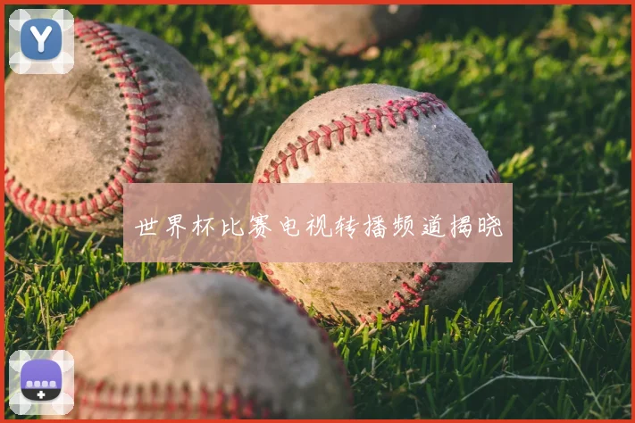 世界杯比赛电视转播频道揭晓