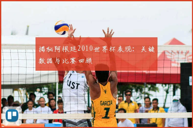 揭秘阿根廷2010世界杯表现:关键数据与比赛回顾