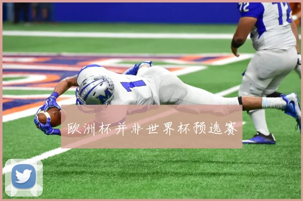 欧洲杯并非世界杯预选赛