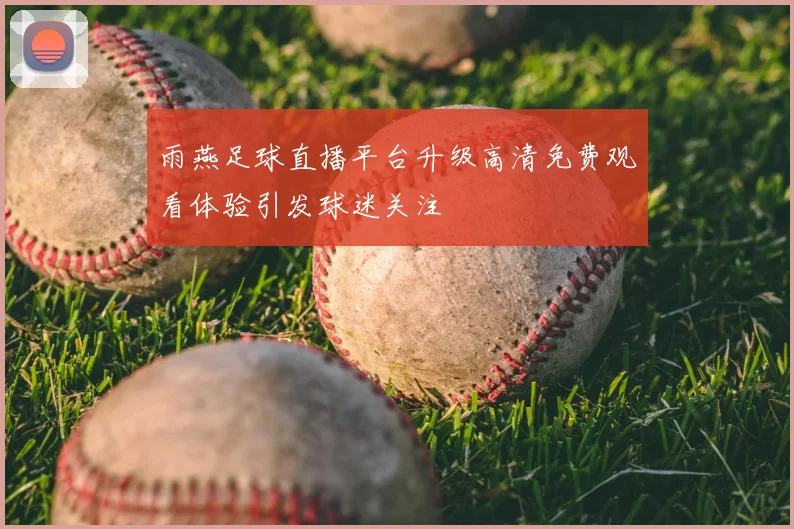 雨燕足球直播平台升级高清免费观看体验引发球迷关注