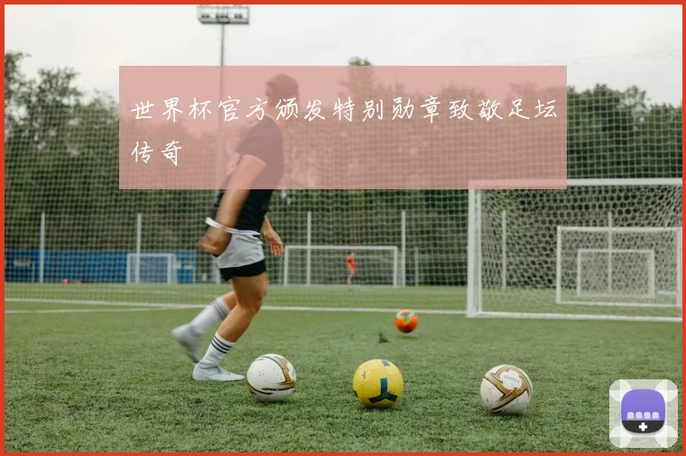 世界杯官方颁发特别勋章致敬足坛传奇