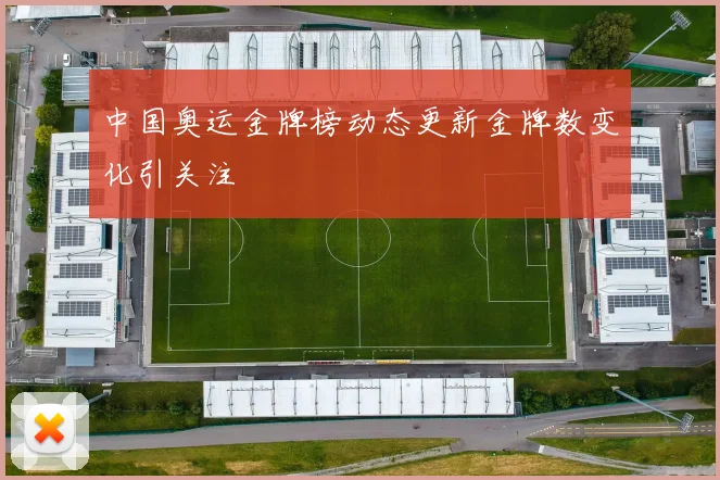 中国奥运金牌榜动态更新金牌数变化引关注