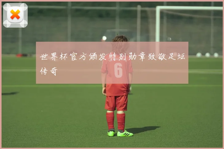 世界杯官方颁发特别勋章致敬足坛传奇