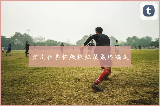 女足世界杯版权归属最终确定