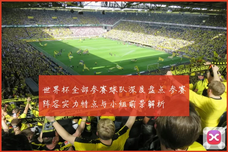 世界杯全部参赛球队深度盘点 参赛阵容实力特点与小组前景解析