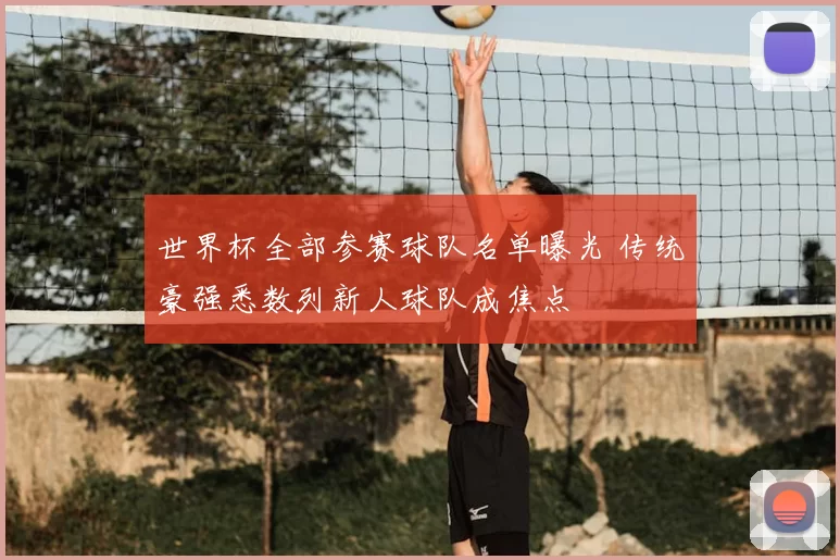 世界杯全部参赛球队名单曝光 传统豪强悉数列新人球队成焦点