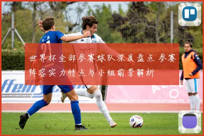 世界杯全部参赛球队深度盘点 参赛阵容实力特点与小组前景解析