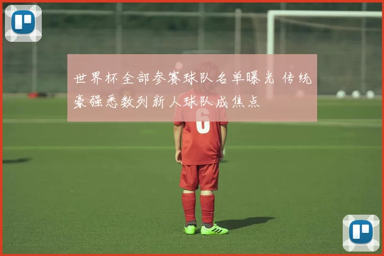 世界杯全部参赛球队名单曝光 传统豪强悉数列新人球队成焦点